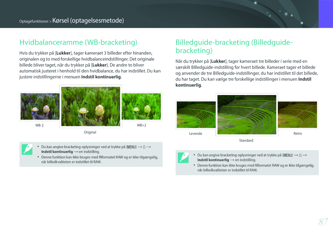 Samsung EV-NX3000BOISE, EV-NX3000BOHSE manual Hvidbalanceramme WB-bracketing, Billedguide-bracketing Billedguide- bracketing 