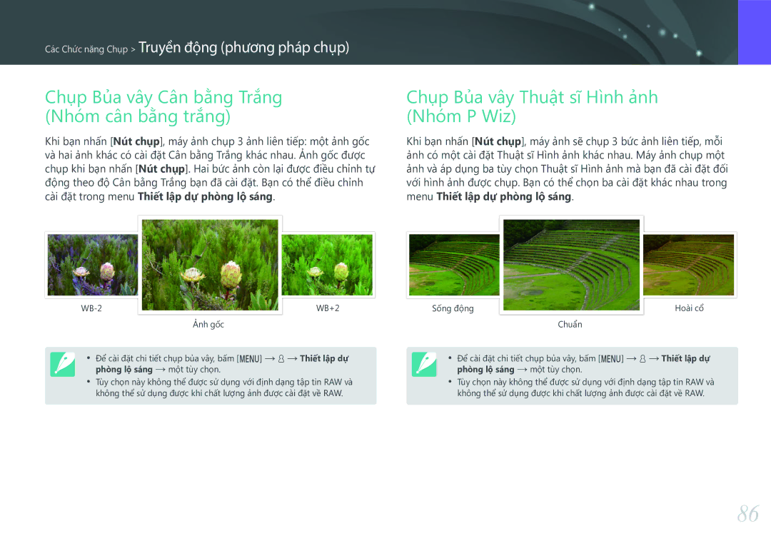 Samsung EV-NX3000BOHVN manual Chụp Bủa vây Cân bằng Trắng Nhóm cân bằng trắng, Chụp Bủa vây Thuật sĩ Hình ảnh Nhóm P Wiz 