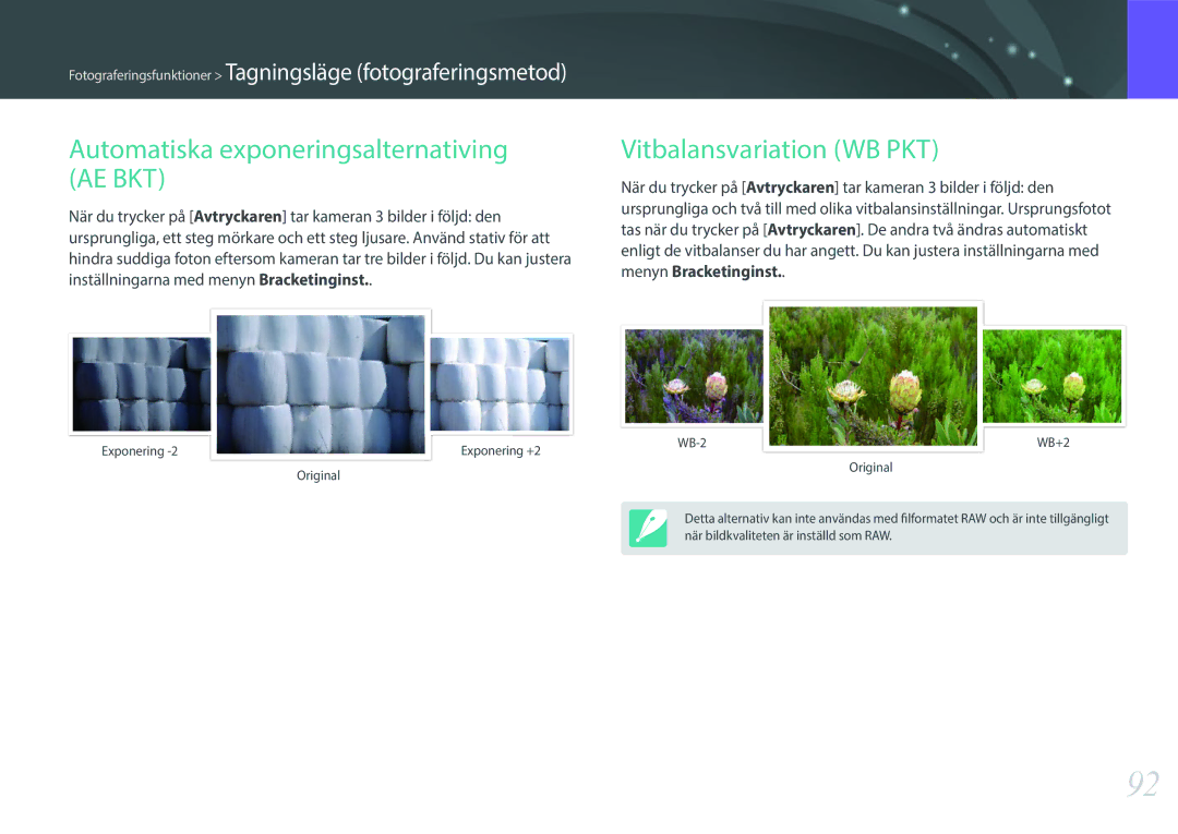 Samsung EV-NX300MBSVSE, EV-NX300MBSTSE manual Automatiska exponeringsalternativing AE BKT, Vitbalansvariation WB PKT 