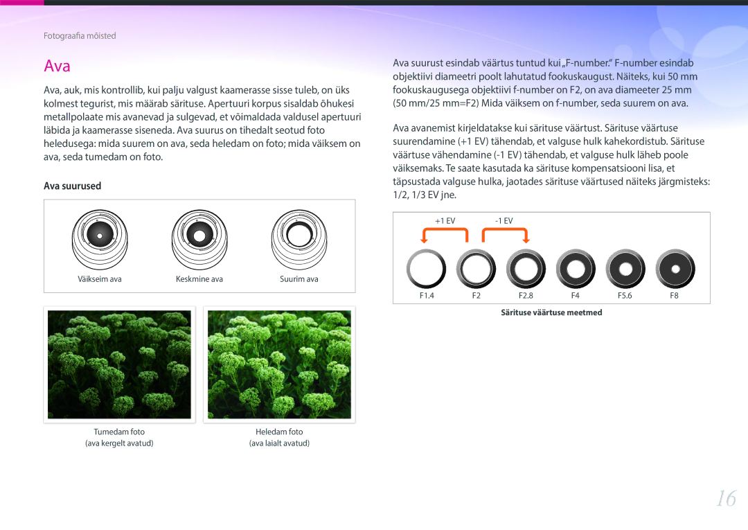 Samsung EV-NX300ZBQULV, EV-NX300ZBQUDE, EV-NX300ZBSTLV, EV-NX300ZBPULV manual Ava 