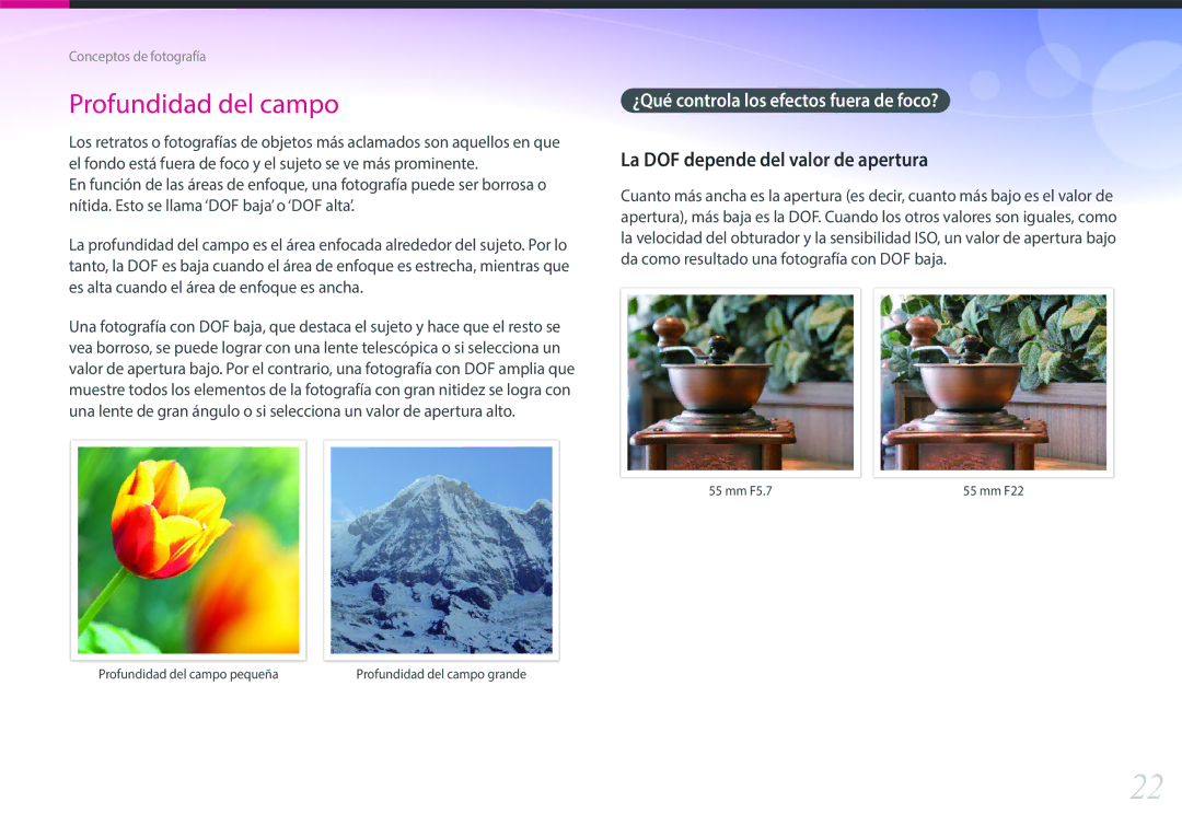 Samsung EV-NX300ZBSVES, EV-NX300ZBQUPT manual La DOF depende del valor de apertura, ¿Qué controla los efectos fuera de foco? 