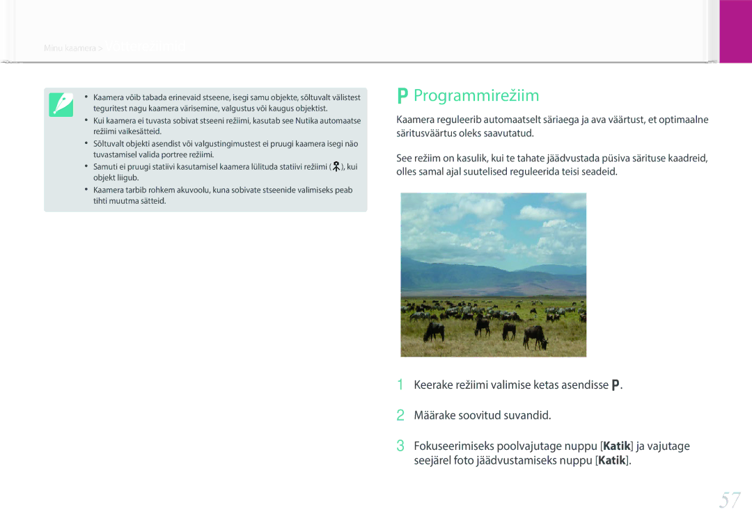 Samsung EV-NX30ZZBGBLV manual Programmirežiim 