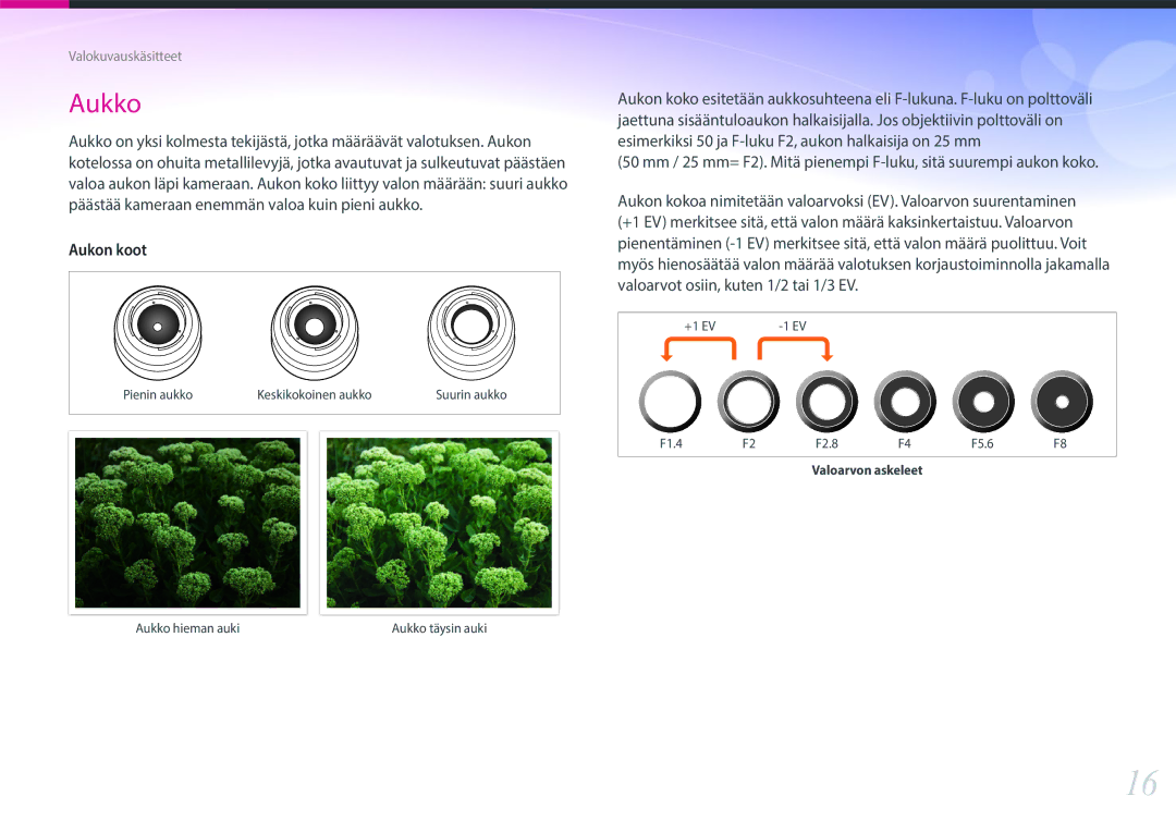 Samsung EV-NX30ZZBGBDK, EV-NX30ZZBGBSE manual Aukko 