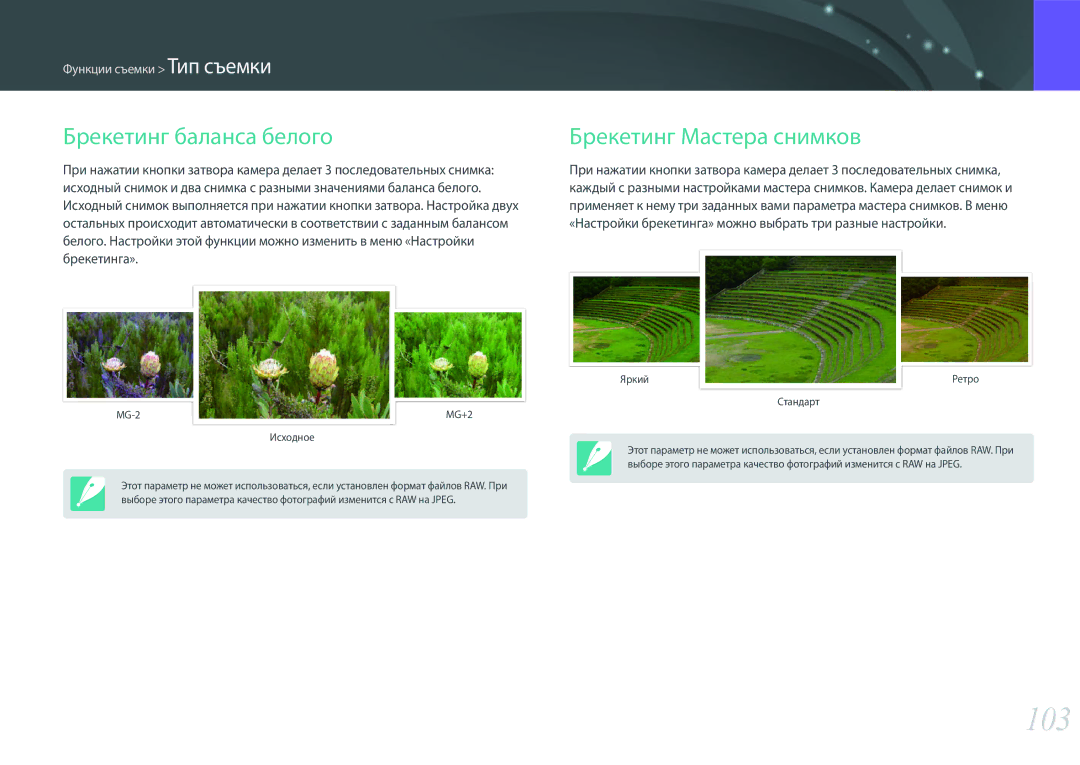Samsung EV-NX500ZBMIRU, EV-NX500ZBMHRU manual 103, Брекетинг баланса белого, Брекетинг Мастера снимков 