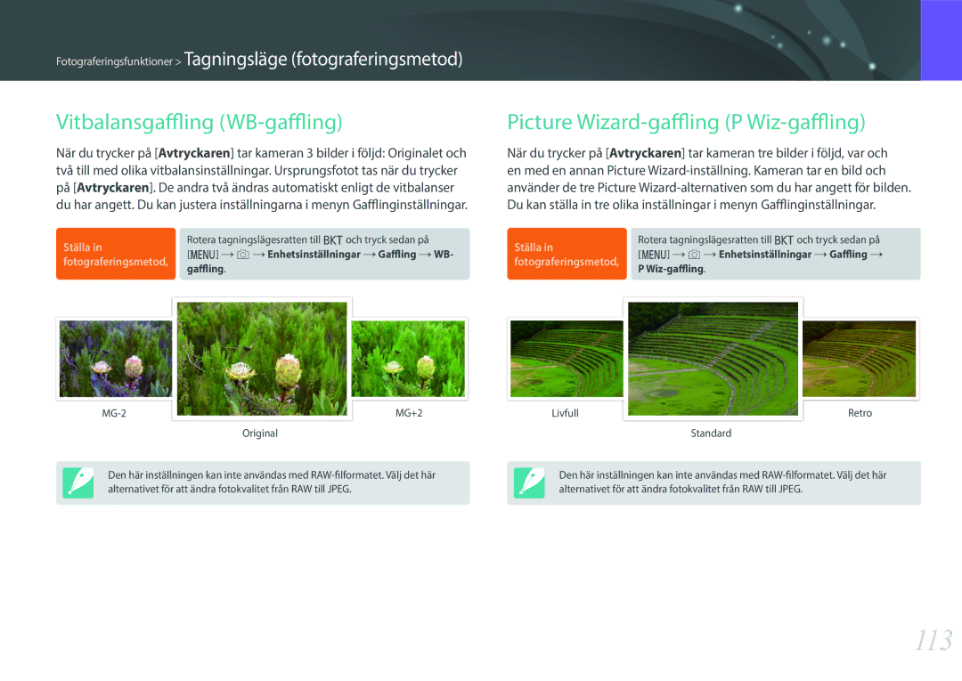 Samsung EV-NX1ZZZBZBDK, EV-NXF1ZZB1HSE manual 113, Vitbalansgaffling WB-gaffling, Picture Wizard-gaffling P Wiz-gaffling 
