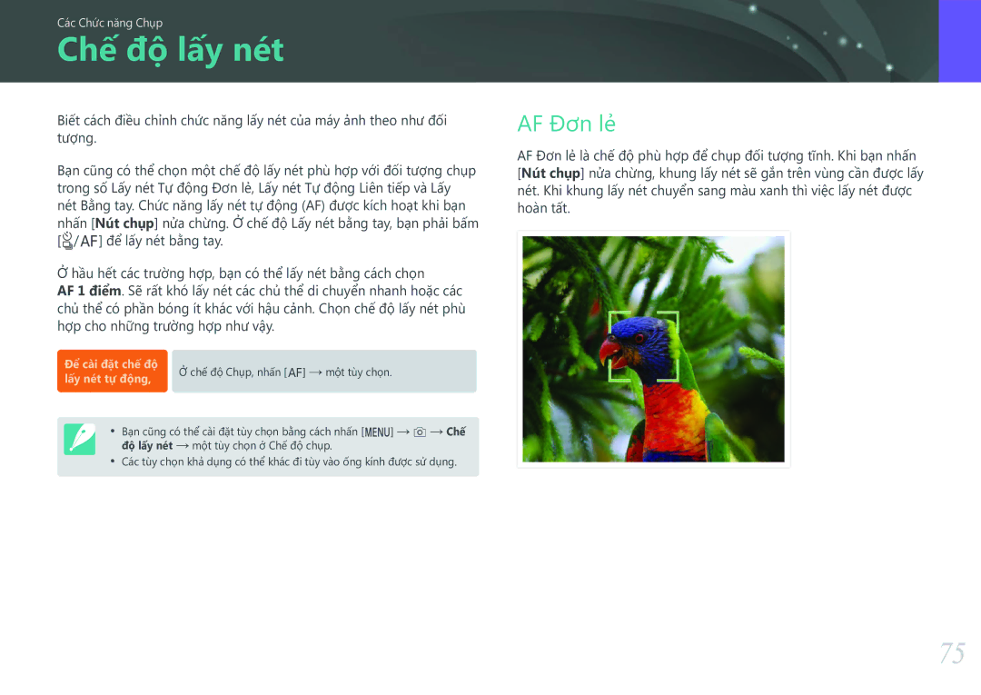 Samsung EV-NXF1ZZB1KVN manual Chế độ lấy nét, AF Đơn lẻ 