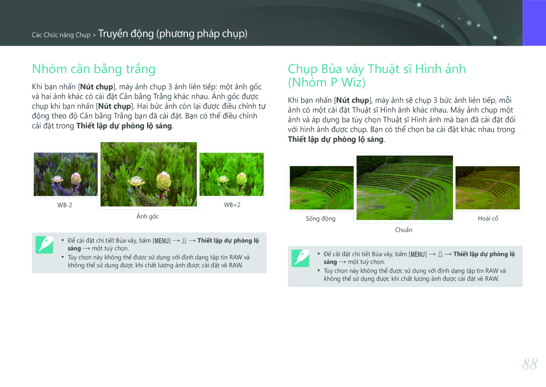 Samsung EV-NXF1ZZB1KVN manual Nhóm cân bằng trắng, Chụp Bủa vây Thuật sĩ Hình ảnh Nhóm P Wiz 