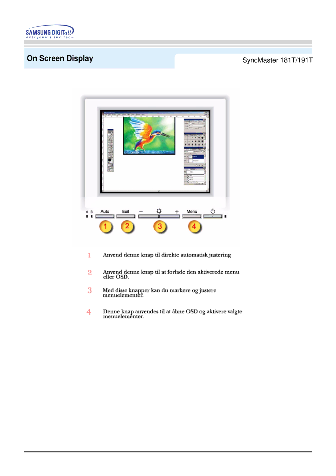 Samsung GH19AWBN/EDC manual On Screen Display 