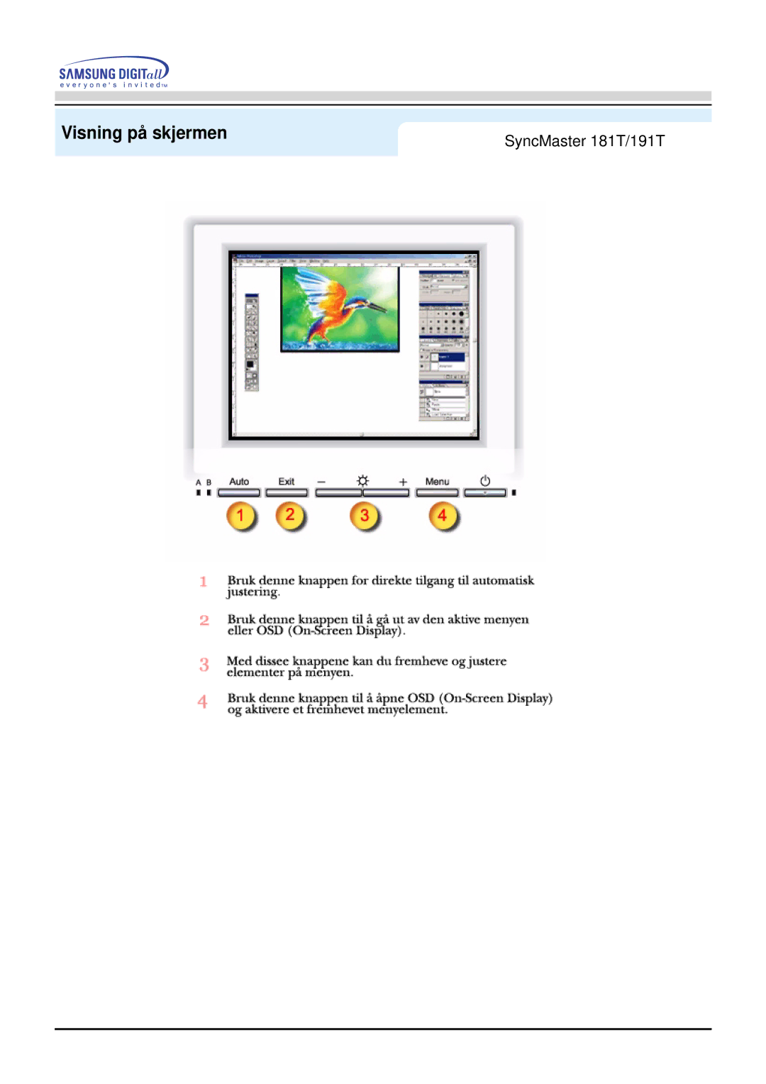 Samsung GH19AWBN/EDC manual Visning på skjermen 