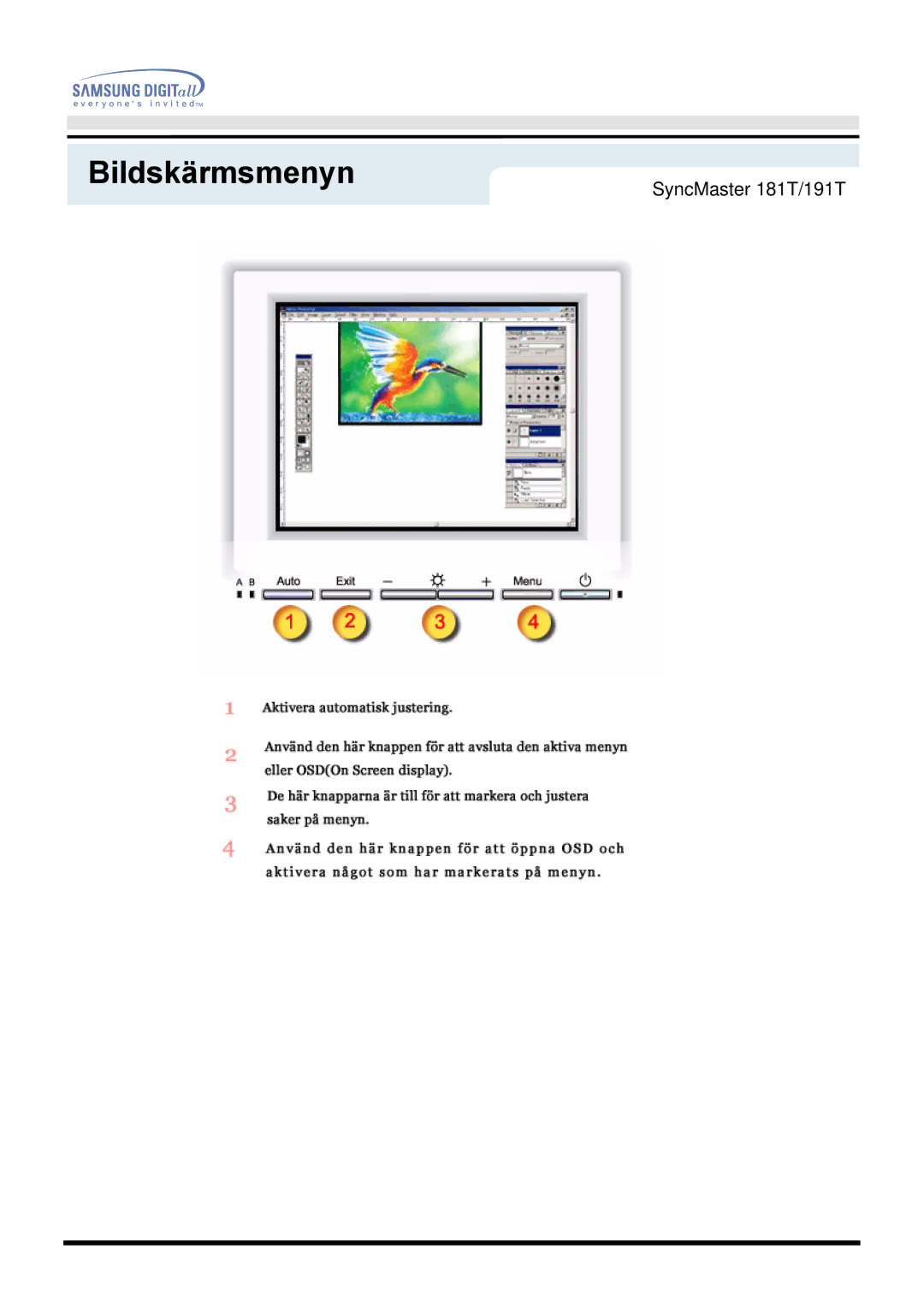 Samsung GH19AWBN/EDC manual Bildskärmsmenyn 