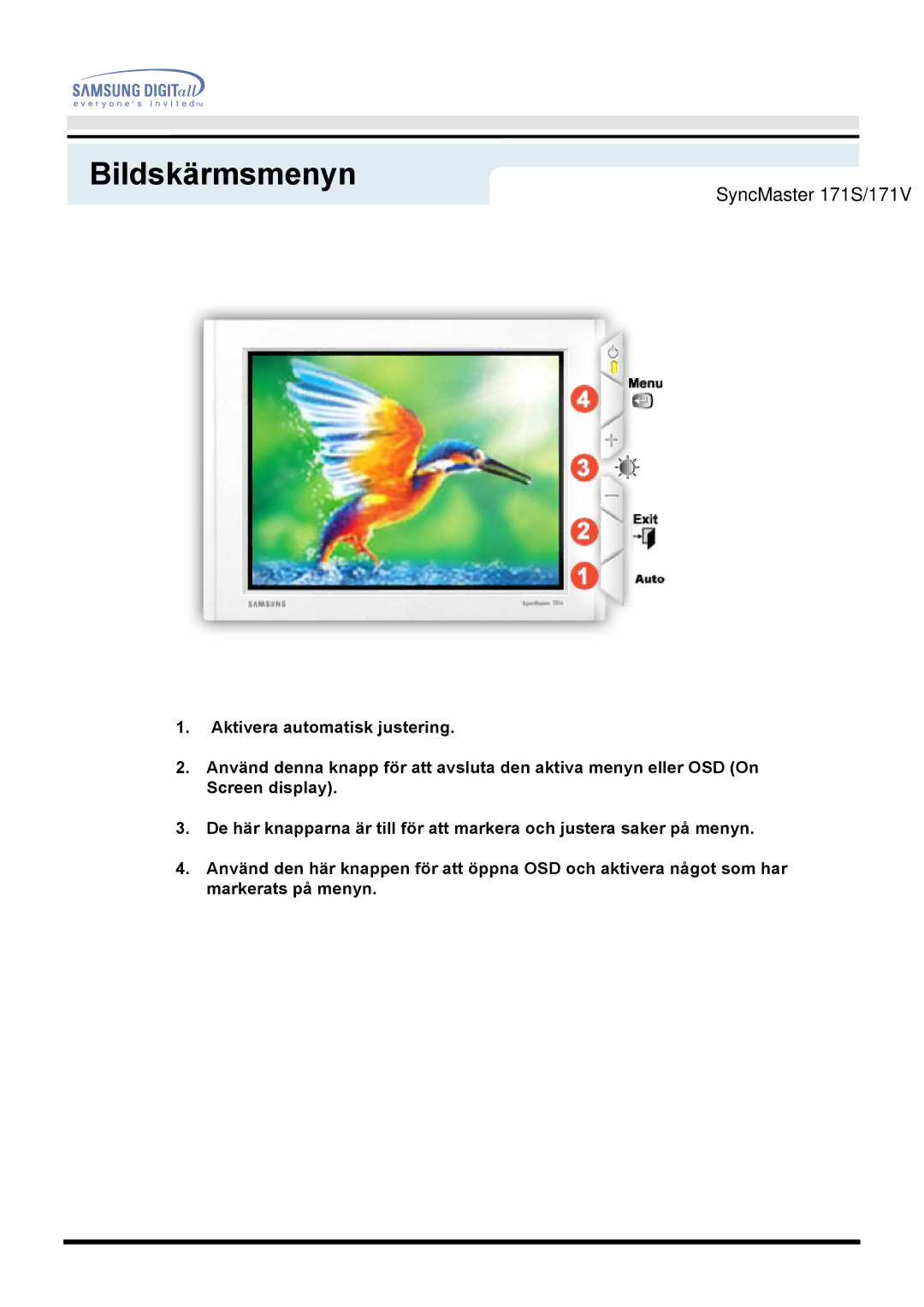 Samsung GH19AWBN/EDC manual SyncMaster 171S/171V 