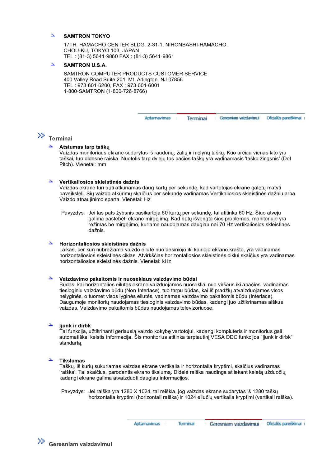 Samsung GS17VTSS/EDC manual Terminai, Geresniam vaizdavimui 