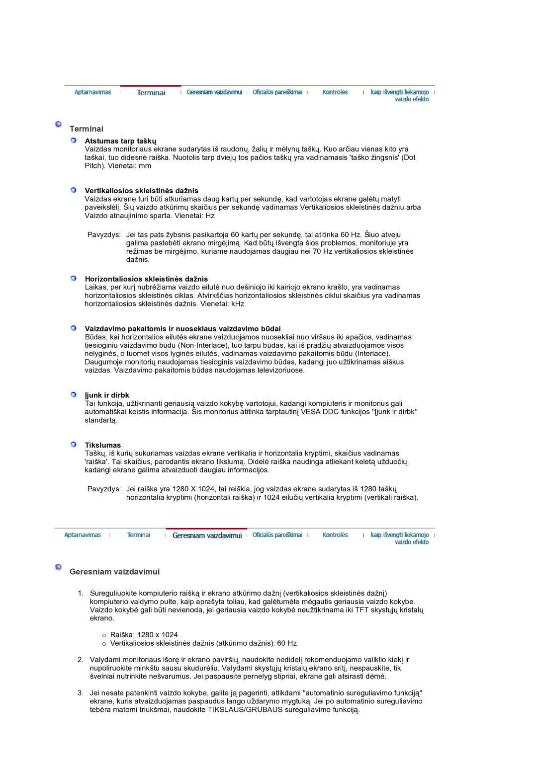 Samsung GS19ESSS/EDC manual Terminai, Geresniam vaizdavimui 