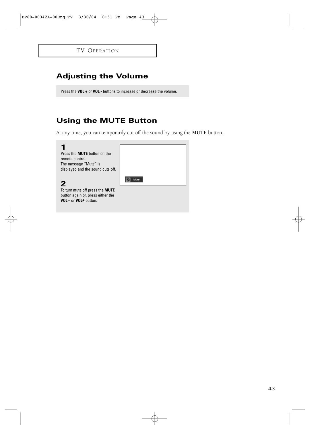 Samsung HC-P4363W manual Adjusting the Volume, Using the Mute Button 