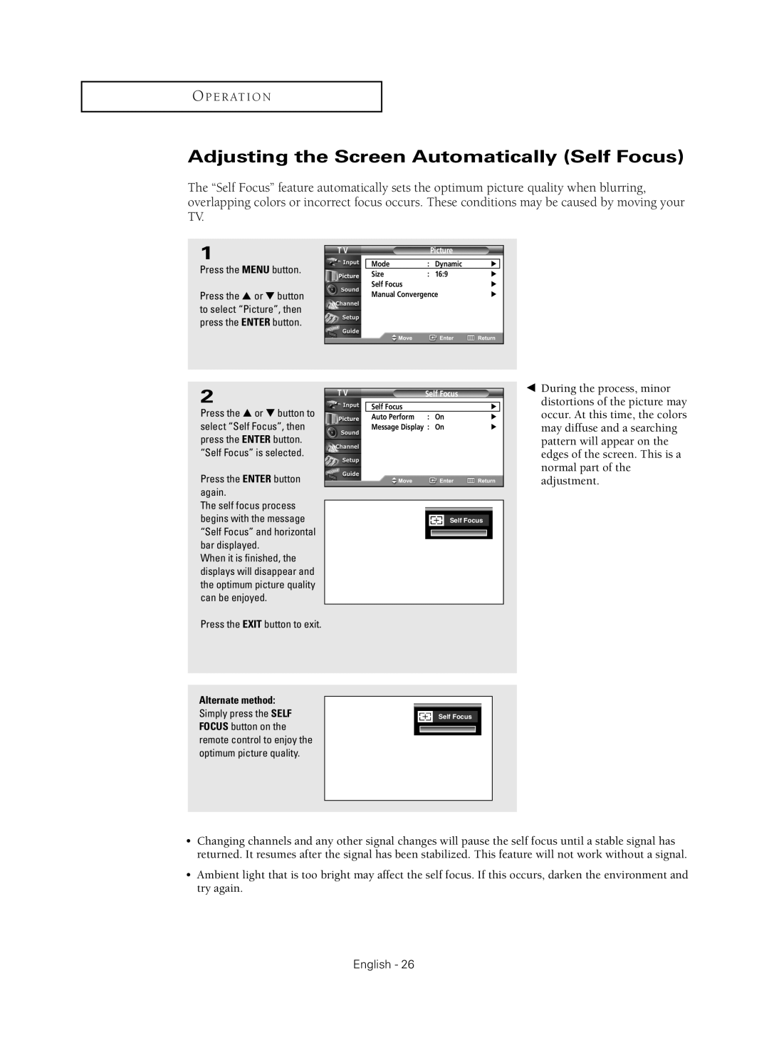 Samsung HC-R5245W, HC-R4355W manual Adjusting the Screen Automatically Self Focus, Press the Enter button again, Picture 