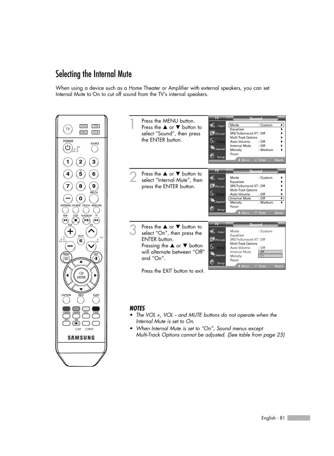 Samsung HL-54676S manual Selecting the Internal Mute 