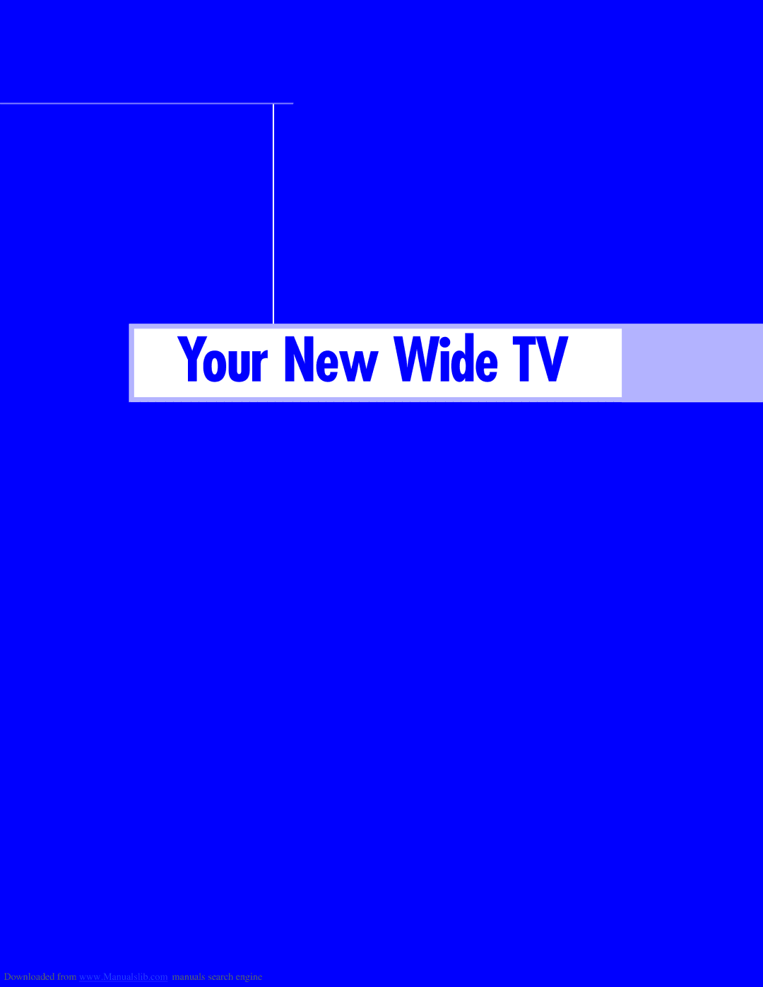 Samsung HLM617W, HLM437W, HLM5065W, HLM507W instruction manual Your New Wide TV 