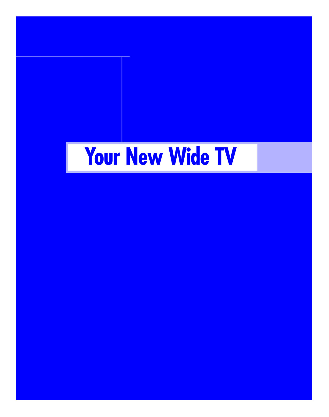 Samsung HLM4365W, HLM617W, HLM507W, HLM 5065W, HLM 437W instruction manual Your New Wide TV 