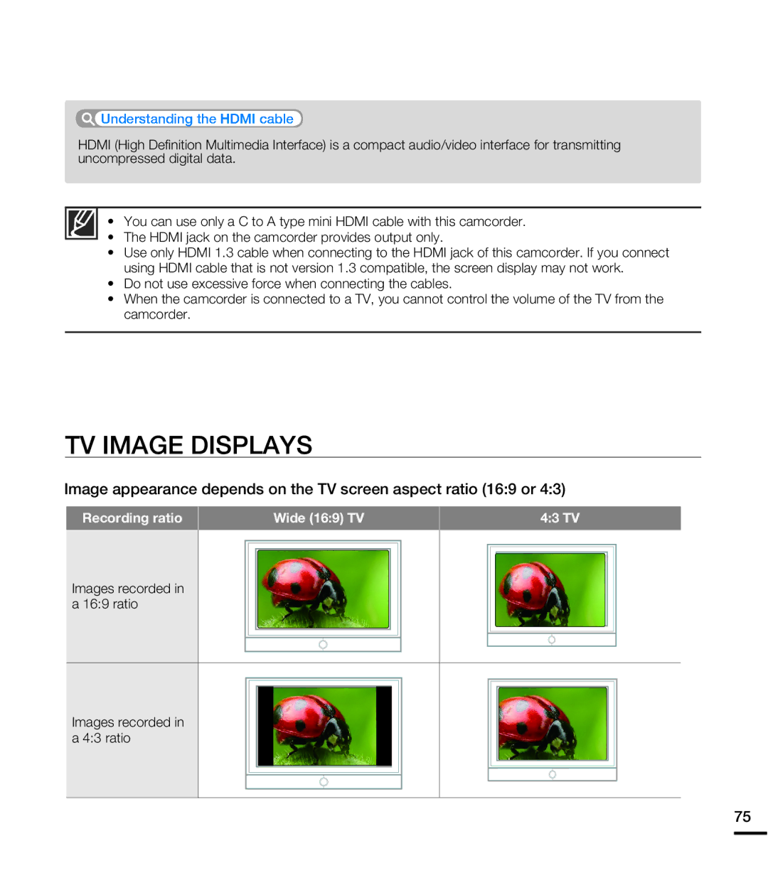 Samsung HMX-E10WN, HMX-E10BN, HMX-E10ON user manual TV Image Displays, Understanding the Hdmi cable 