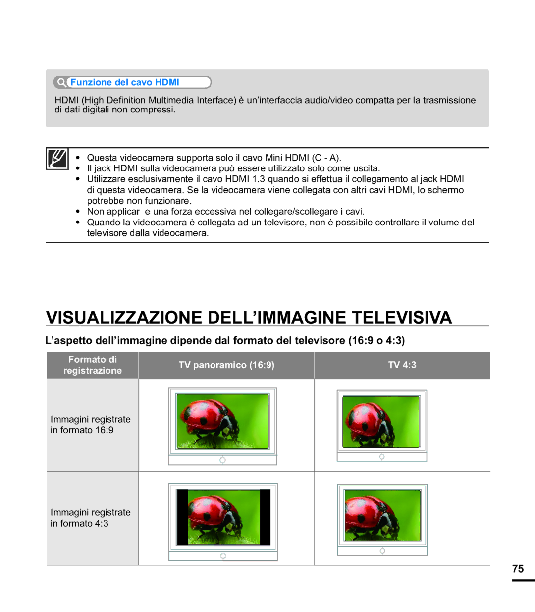 Samsung HMX-E10BP/EDC, HMX-E10OP/EDC manual Visualizzazione DELL’IMMAGINE Televisiva, Formato di Registrazione TV panoramico 