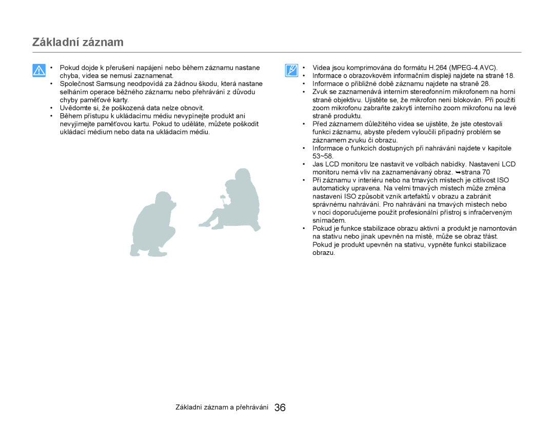 Samsung HMX-W300YP/EDC manual Základní záznam 