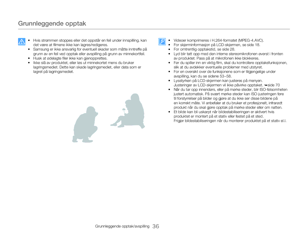 Samsung HMX-W350YP/EDC, HMX-W300YP/EDC manual Grunnleggende opptak 