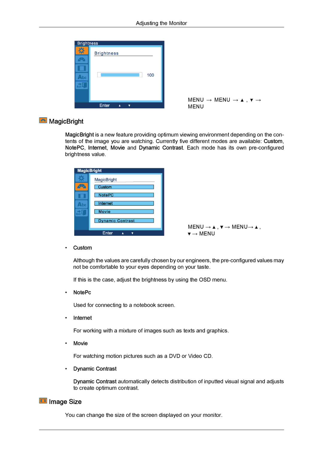 Samsung LD190N user manual MagicBright, Image Size, Dynamic Contrast 