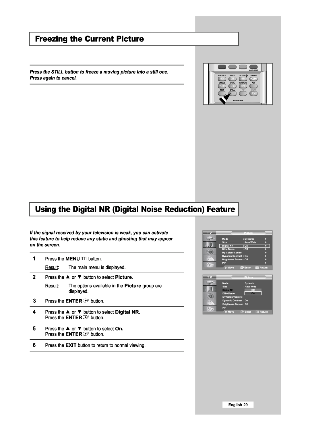 Samsung LE26R53BD, LE32R53BD manual Freezing the Current Picture, Using the Digital NR Digital Noise Reduction Feature 