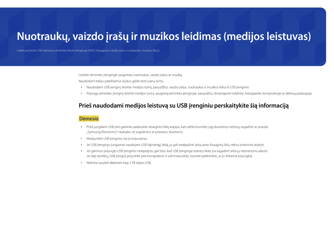 Samsung LH22DBDPSGC/EN manual Dėmesio, Netinka naudoti didesnės kaip 2 TB talpos USB 