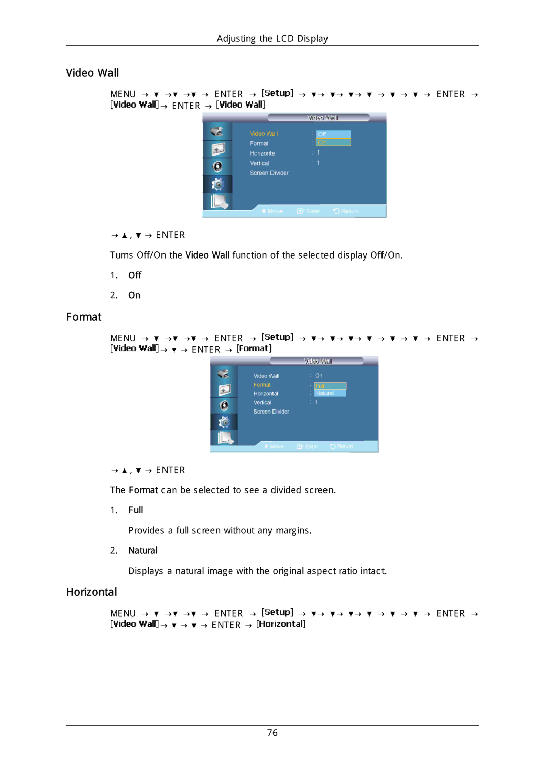 Samsung LH46DLPLGD/EN, LH40DLPLGD/EN, LH46DLTLGD/EN, LH40DLTLGD/EN, LFD-WBM2/S40A5 manual Format, Horizontal, Full, Natural 