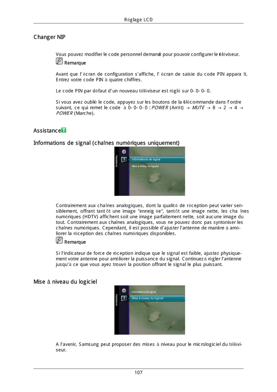 Samsung LH40DLTLGD/EN, LH40DLPLGD/EN, LH46DLTLGD/EN, LH46DLPLGD/EN manual Changer NIP, Mise à niveau du logiciel 