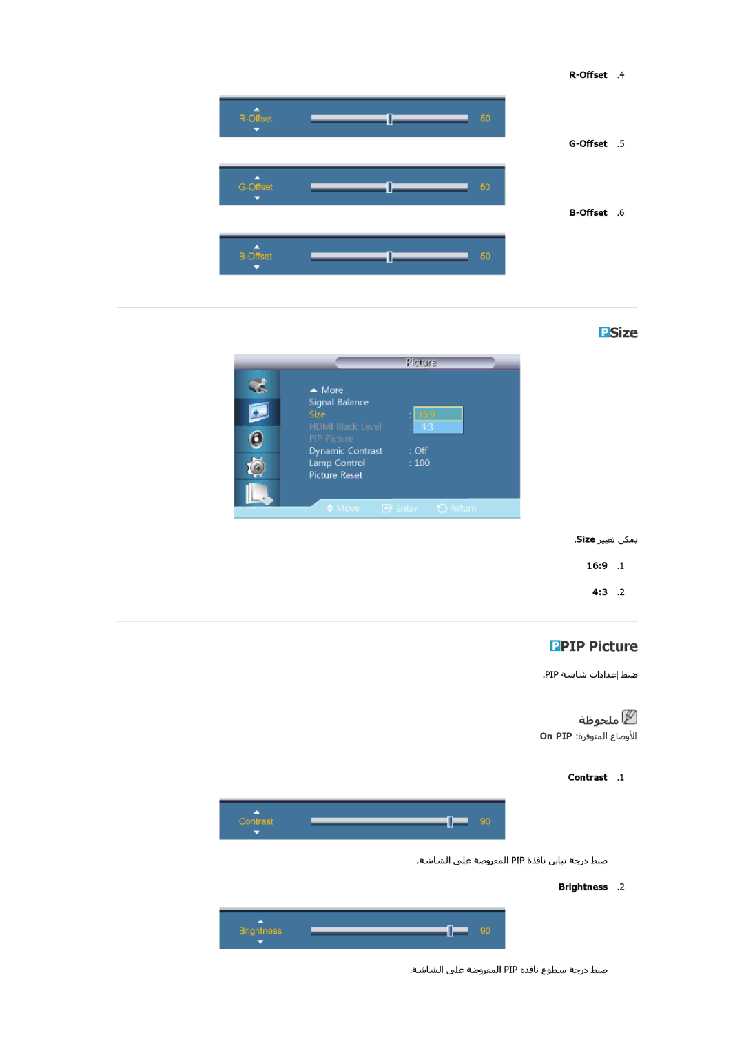 Samsung LH46GWPLBC/NG, LH40GWTLBC/EN, LH46GWPLBC/EN, LH40GWPLBC/EN, LH46GWTLBC/EN, LH46GWSLBC/EN manual Size, PIP Picture 