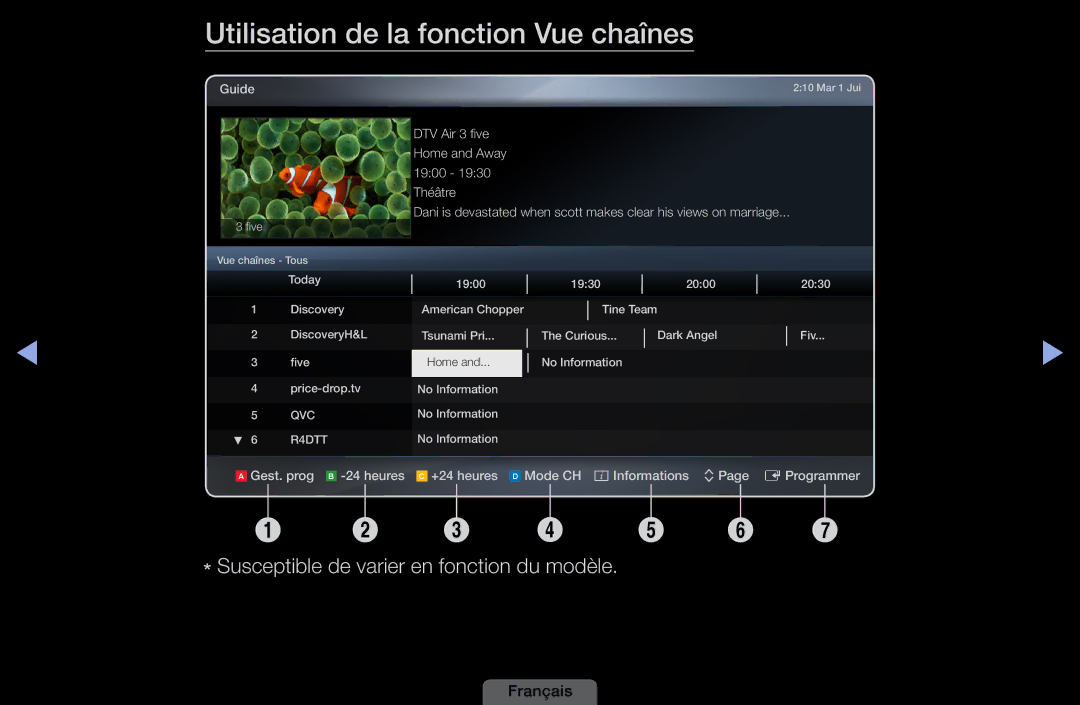 Samsung LH46HEPLGD/EN, LH40HEPLGD/EN manual Utilisation de la fonction Vue chaînes 