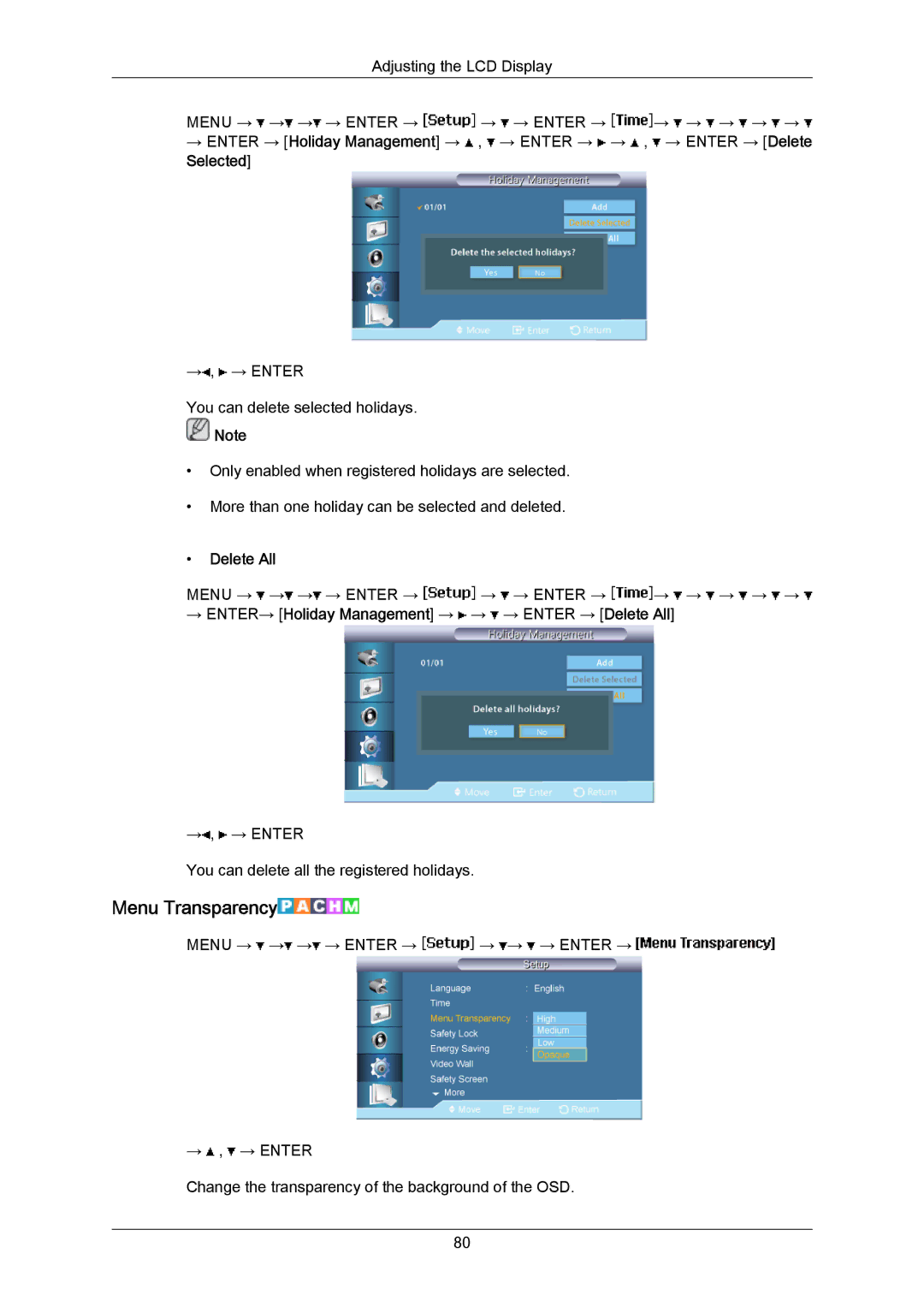 Samsung LH40LBPLBC/ZA, LH40LBTLBC/EN, LH40LBPLBC/EN, LH55LBTLBC/EN, LH55LBPLBC/EN, LH46LBTLBC/EN Menu Transparency, Delete All 