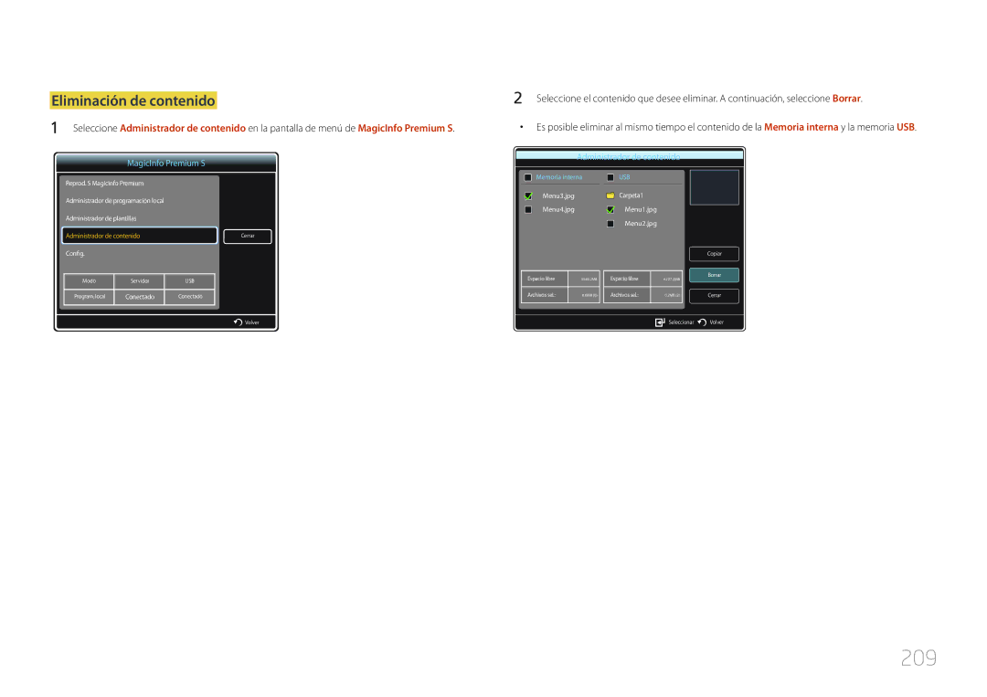 Samsung LH55MDCPLGC/EN, LH40MDCPLGC/EN, LH32MDCPLGC/EN, LH46MDCPLGC/EN manual 209, Eliminación de contenido 