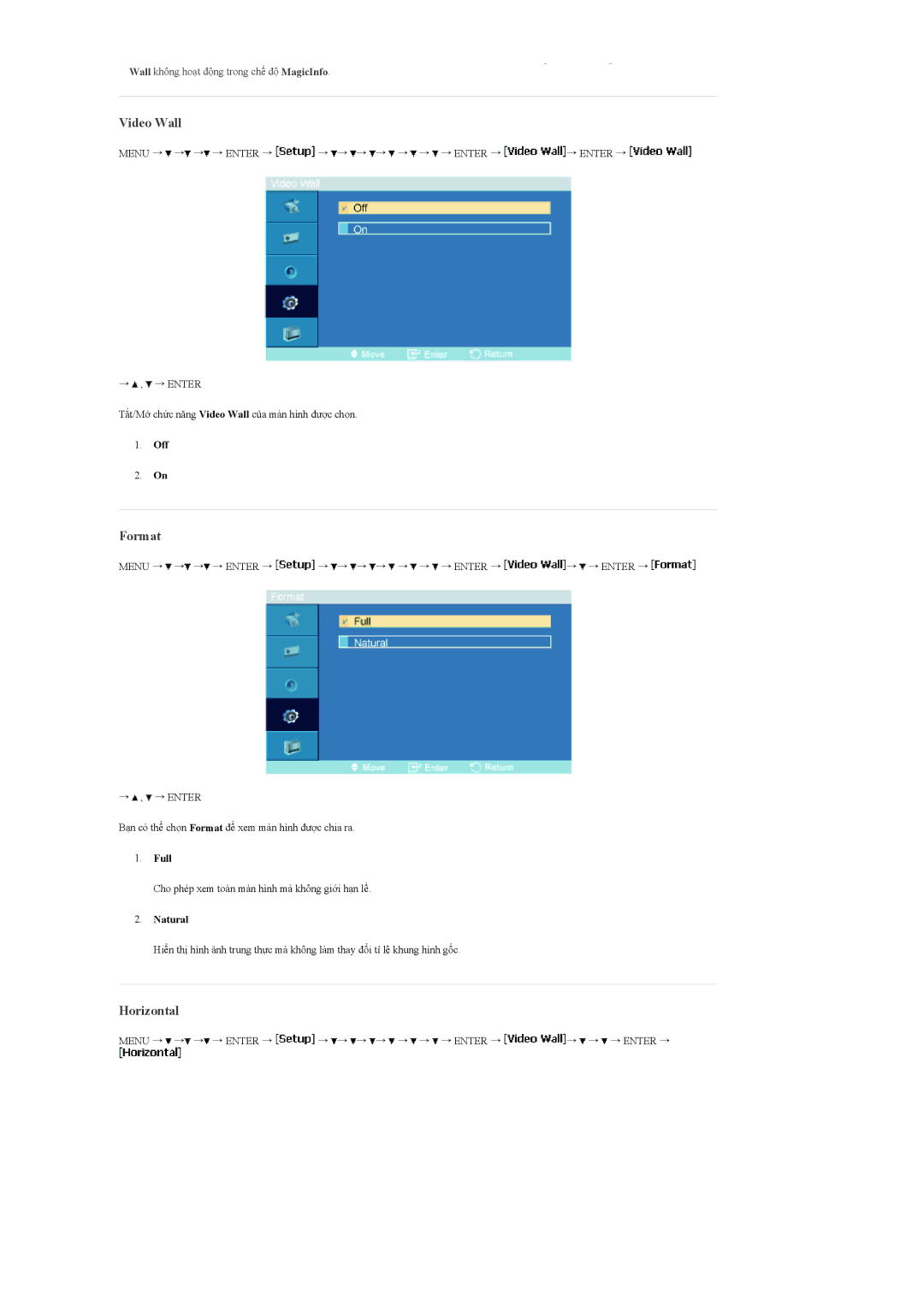 Samsung LH46MGPLBC/XV, LH40MGPLBC/XV, LH40MGTLBC/XV, LH46MGTLBC/XV manual Video Wall, Format, Horizontal 