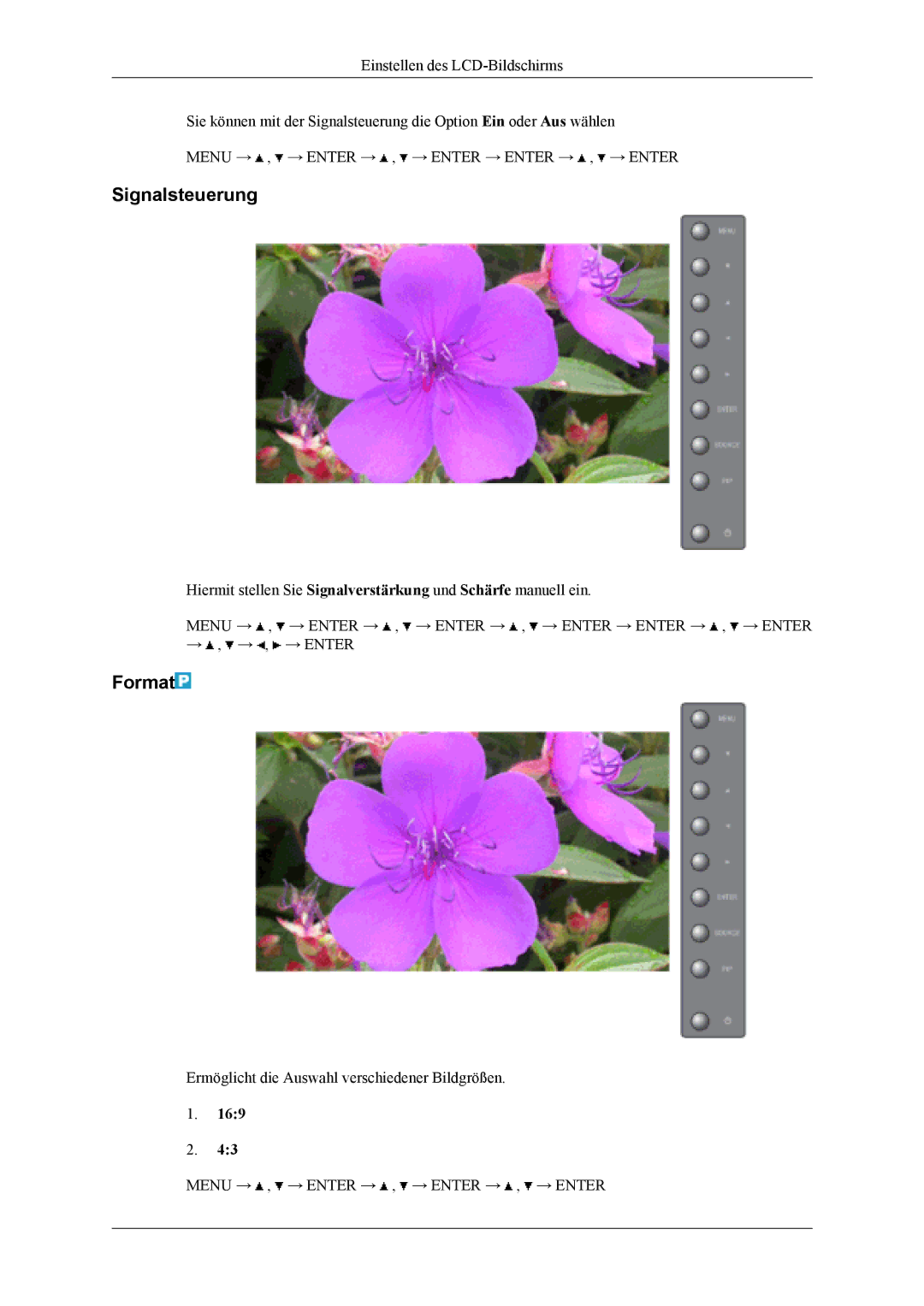 Samsung LH40MSTLBB/EN, LH40MSTABB/EN, LH46MSTABB/EN, LH46MSTLBM/EN, LH40MSTLBM/EN, LH46MSTLBB/EN manual Signalsteuerung, Format 