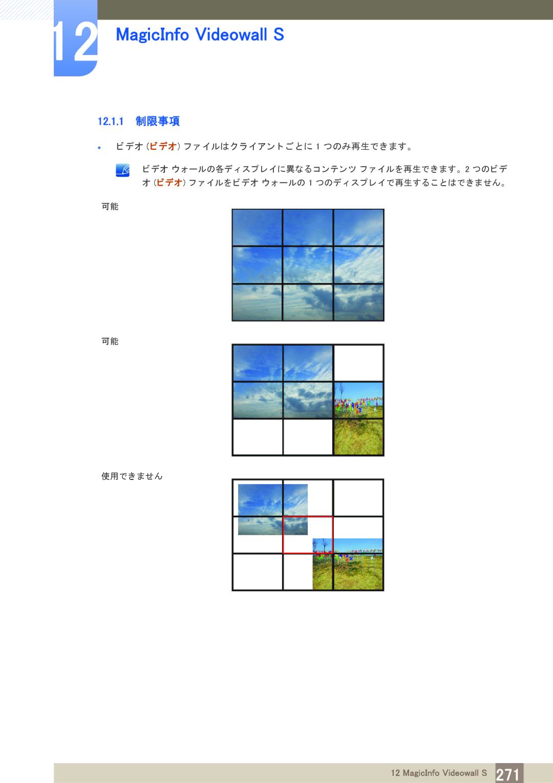 Samsung LH40PECPLBC/XJ manual 12.1.1 制限事項 