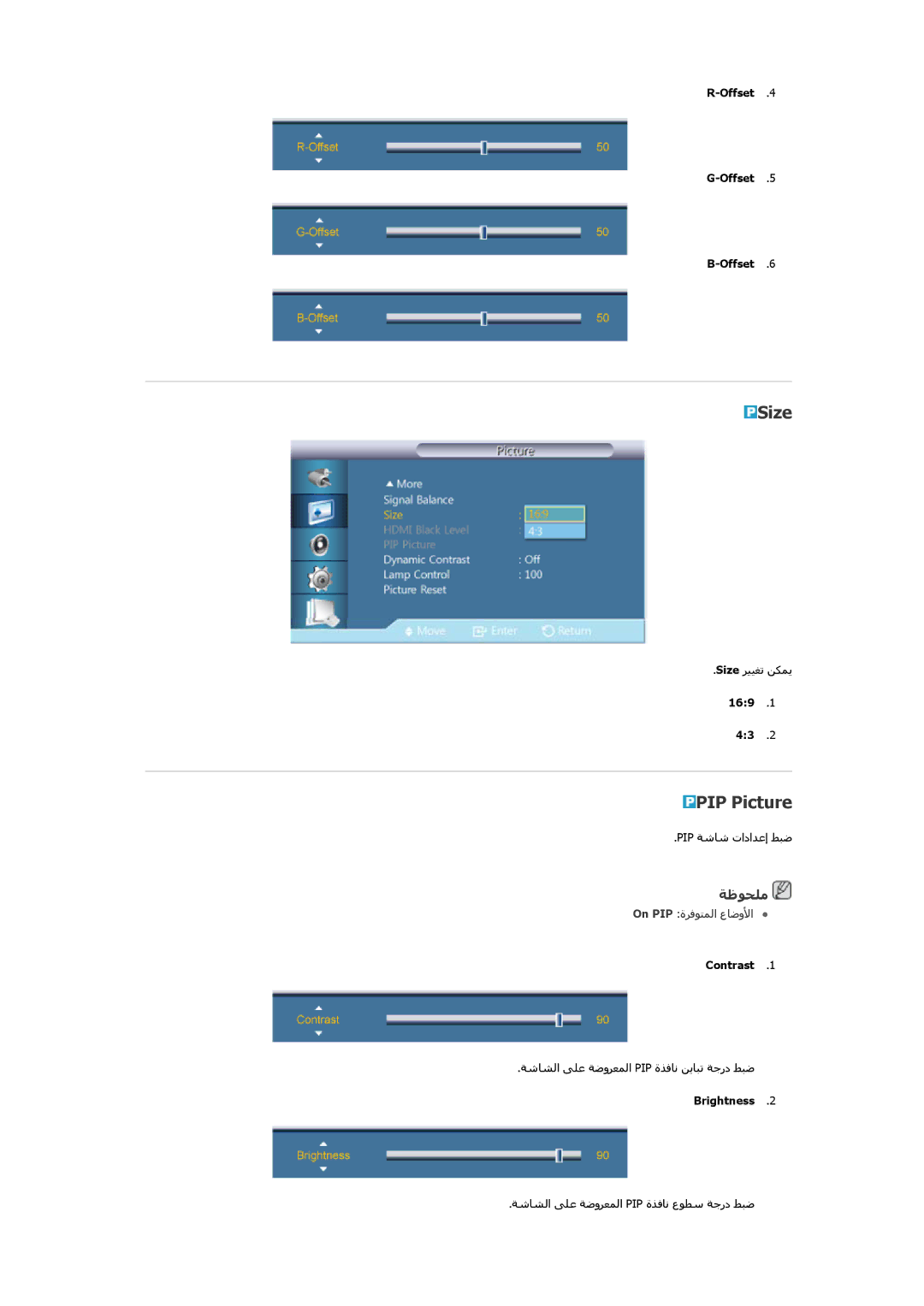 Samsung LH46CBULBB/EN, LH46CBQLBB/EN, LH46CKPLBB/EN, LH46CKULBB/EN, LH46CKSLBB/EN, LH46CBSLBB/EN manual Size, PIP Picture 