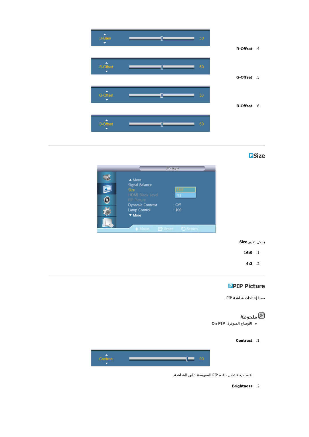 Samsung LH46CRPMBD/XY, LH46CRPMBC/EN, LH40CRPMBD/EN, LH40CRPMBC/EN, LH46CRPMBC/XY, LH46CRPMBD/HD manual Size, PIP Picture 