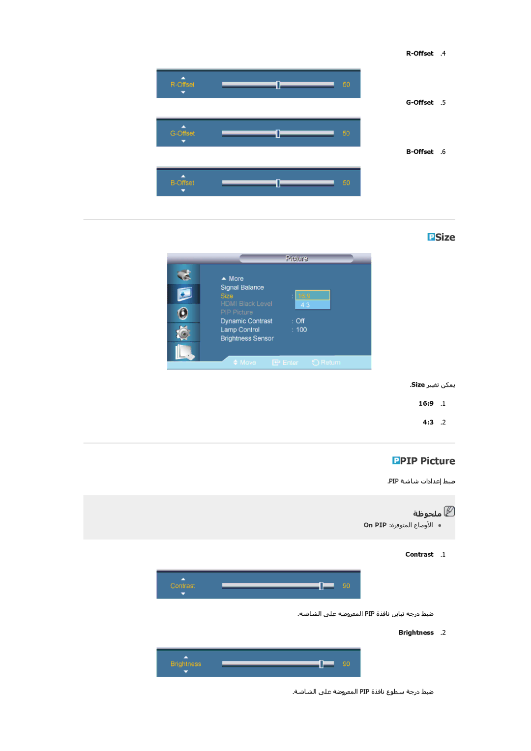 Samsung LH40CSPLBC/HD, LH46CSPLBC/EN, LH40CSPLBC/EN, LH46CSPLBC/NG, LH46CSPLBC/XY, LH40CSPLBC/XY manual Size, PIP Picture 