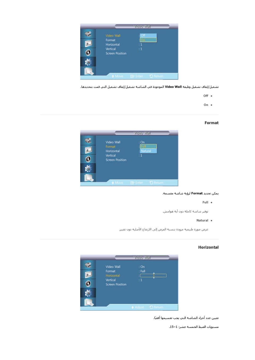 Samsung LH46OLBPPGC/EN, LH46OLBPPGC/SM manual Format, Horizontal 