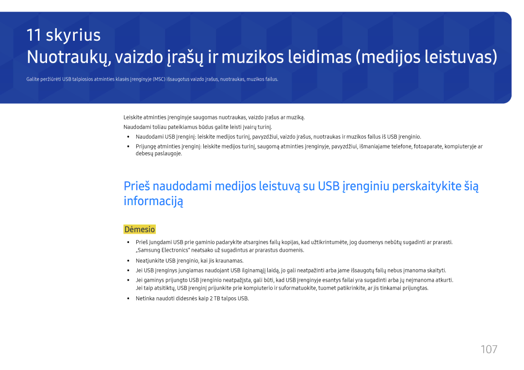 Samsung LH49DCHPLGC/EN, LH49DCJPLGC/EN, LH43DCJPLGC/EN manual 107, Dėmesio, Netinka naudoti didesnės kaip 2 TB talpos USB 