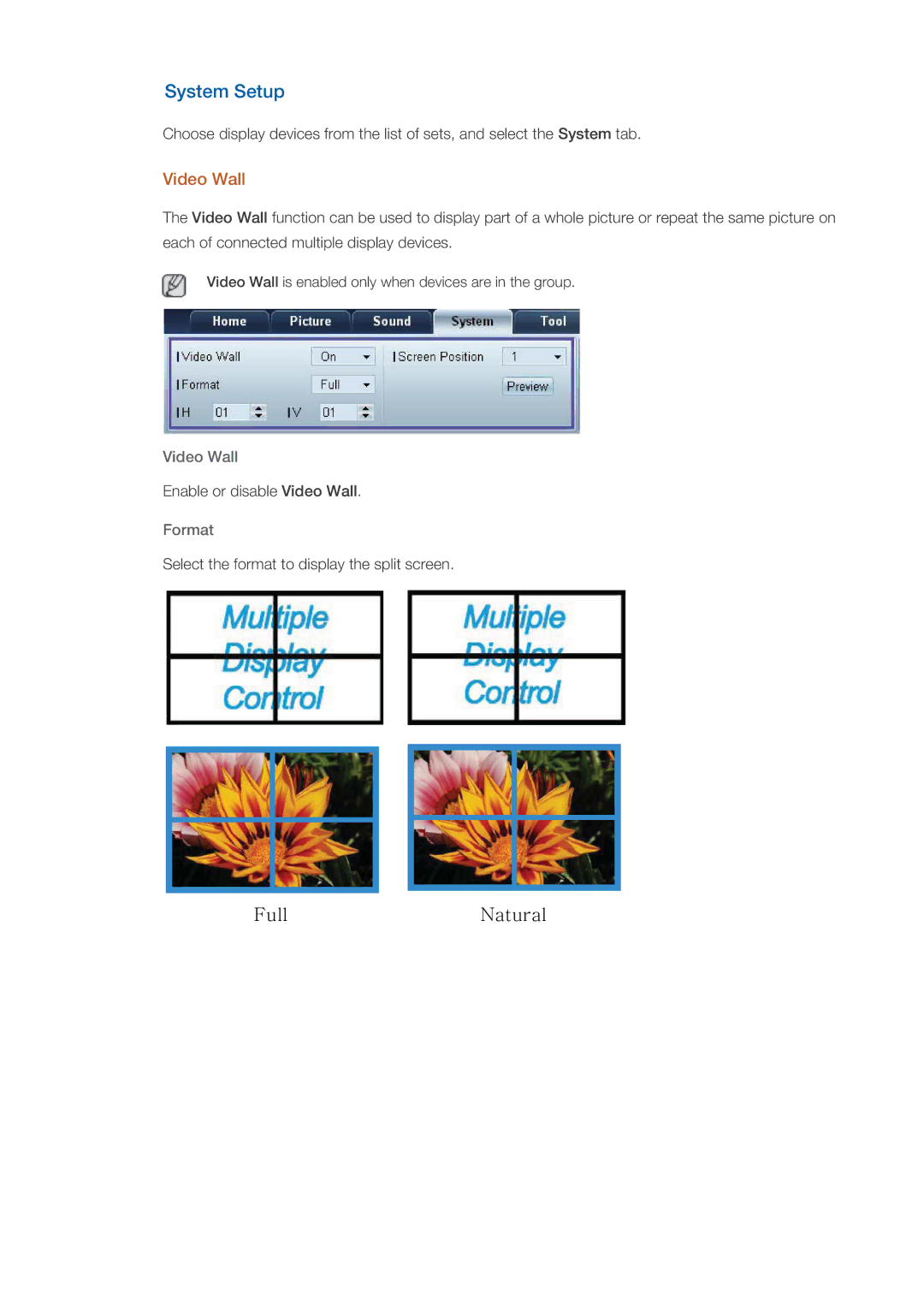 Samsung LH55CSPLBC/XY, LH55CSPLBC/EN, LH55CSPLBC/XJ, LH55CSPLBC/NG, LH55CSPLBC/HD manual System Setup, Video Wall, Format 