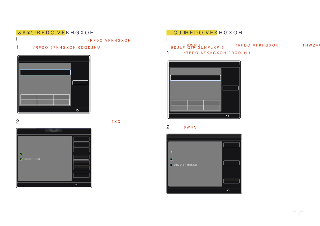 Samsung LH65MDCPLGC/XY manual 217, Chạy Local schedule 