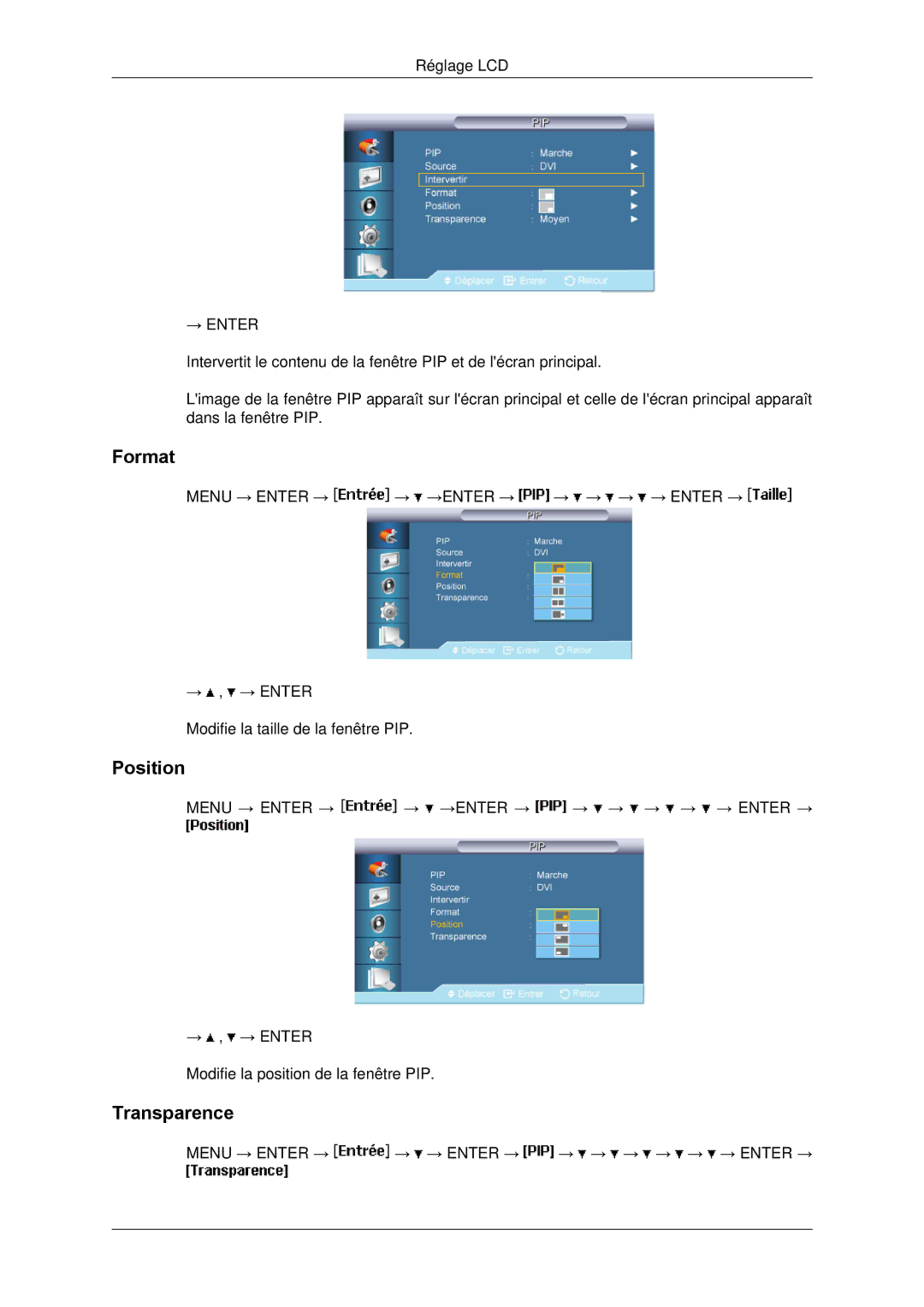 Samsung LH65TCPMBC/EN manual Format, Position, Transparence 