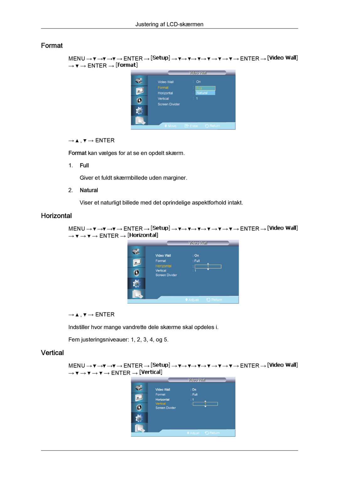 Samsung LH65TCPMBC/EN manual Format, Horizontal, Vertical, Full, Natural 