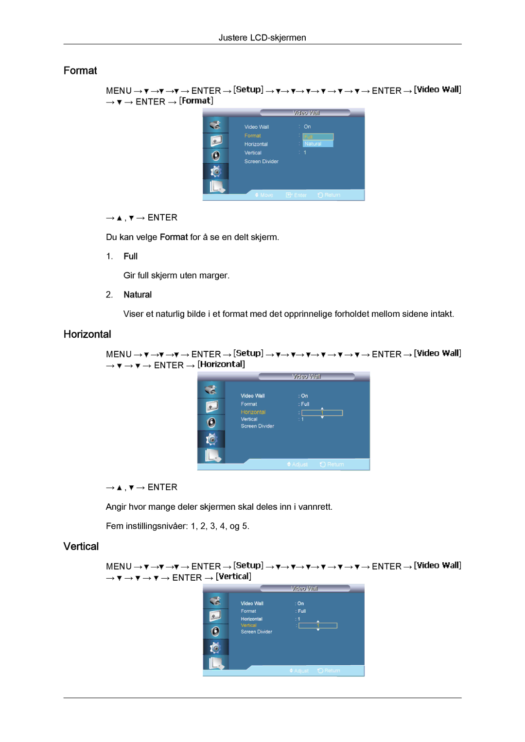 Samsung LH65TCPMBC/EN manual Format, Horizontal, Vertical, Full, Natural 