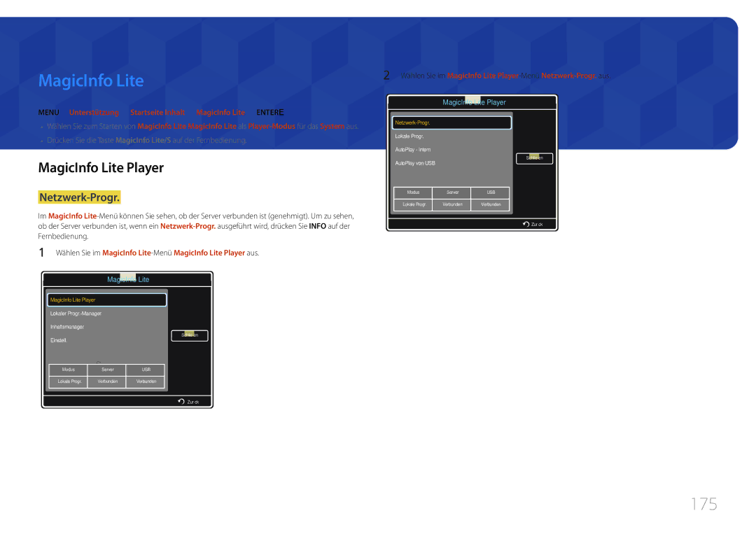 Samsung LH75MECPLGC/EN manual 175, MagicInfo Lite Player, Netzwerk-Progr 