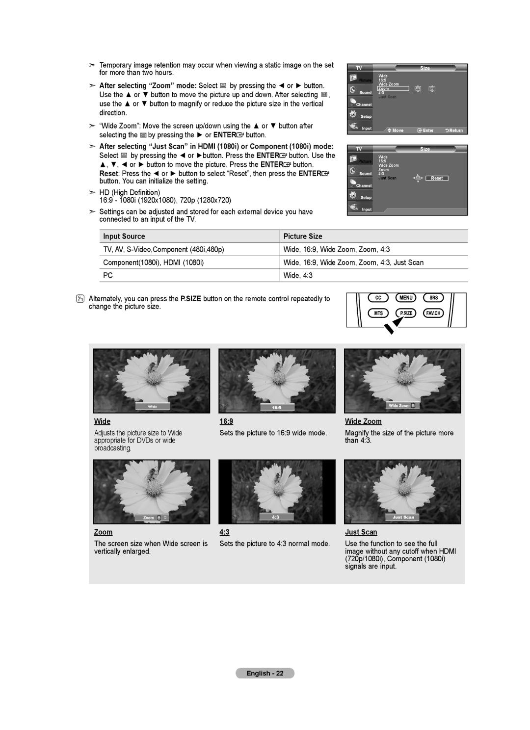 Samsung LNA0C, LN22A450C1, Series L4 user manual Input Source Picture Size, 169, Wide Zoom 